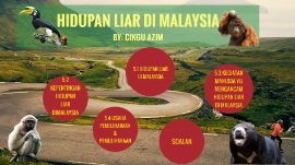 Bab5 Hidupan Liar Di Malaysia T3 By Azim Alam On Prezi Next