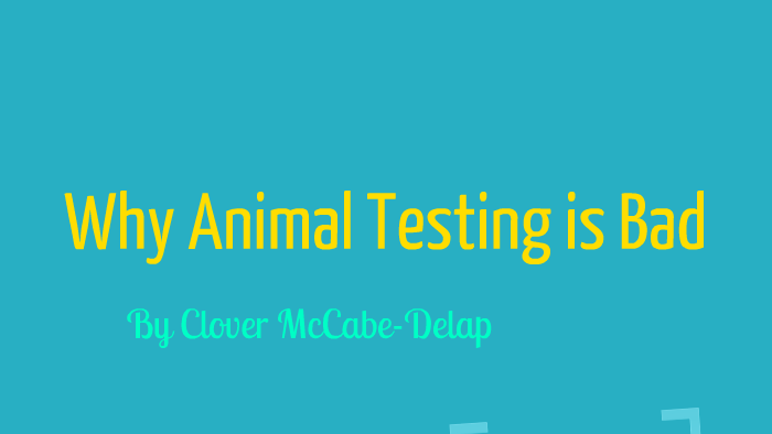 Why animal testing is bad by clover mccabe delap