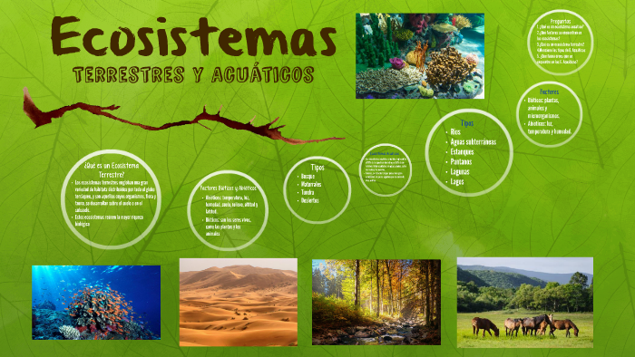 Ecosistemas by Estefanía Delgado on Prezi