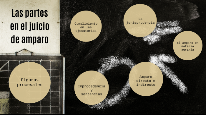 Las partes en el juicio de amparo by Carlos Garcia on Prezi