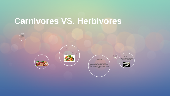 Carnivores VS. Herbivores by James Fieker