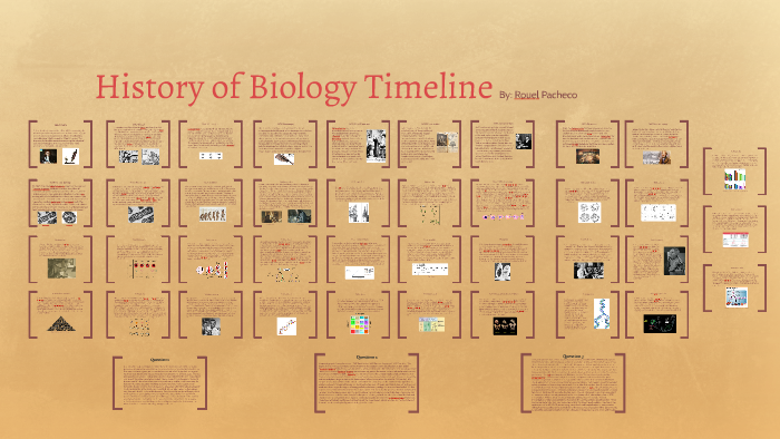 History Of Biology Timeline By Rouel Pacheco 
