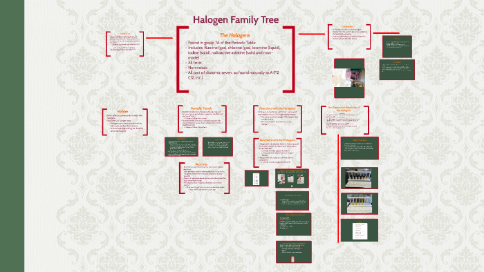 halogen family