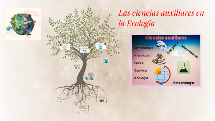 Las ciencias auxiliares en la Ecologia by Valentina saldarriaga
