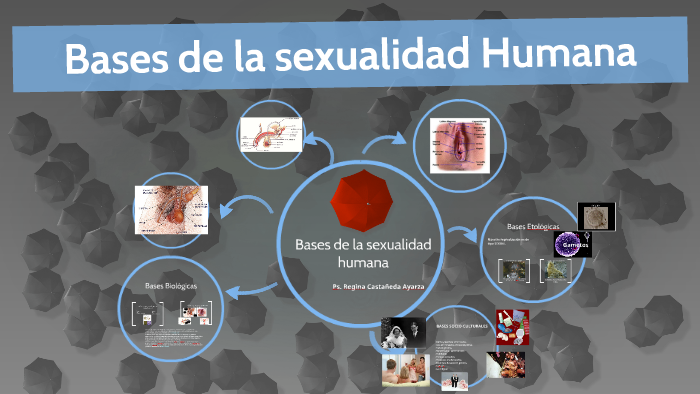 Bases De La Sexualidad Humana By Regina Castañeda On Prezi