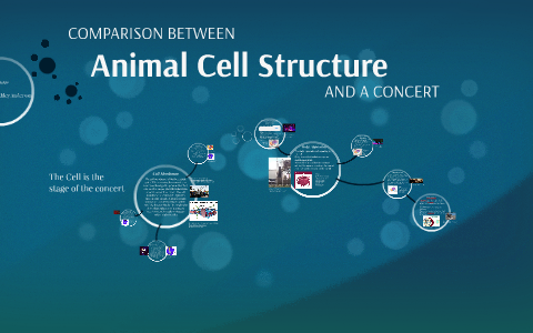 Animal Cell Structure by Akasha Dove & Ashley Anderson on Prezi