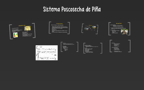 Sistema Poscosecha de Piña by Hugo Mora on Prezi