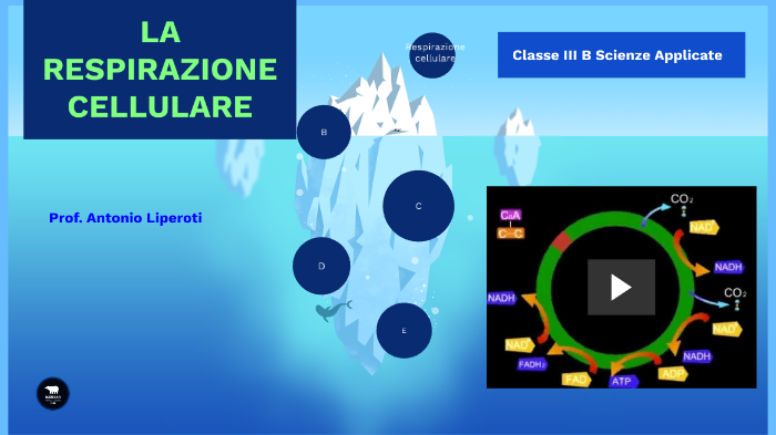 La Respirazione Cellulare By Antonio Liperoti On Prezi