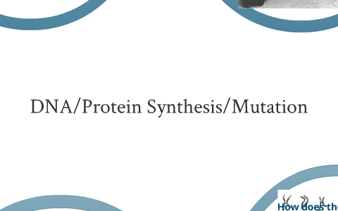 DNA/Protein Synthesis/Mutation Review by Taylor Burris