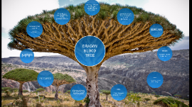 Dragon S Blood Tree By Aryan Sanghera