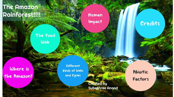 The Amazon Rainforest by SUBASHREE ANAND on Prezi
