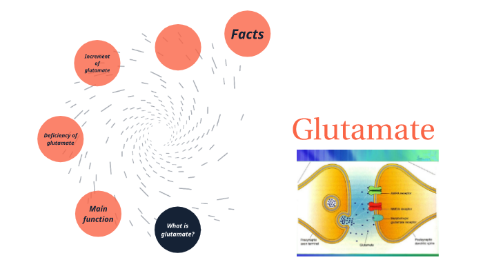 What is Glutamate?