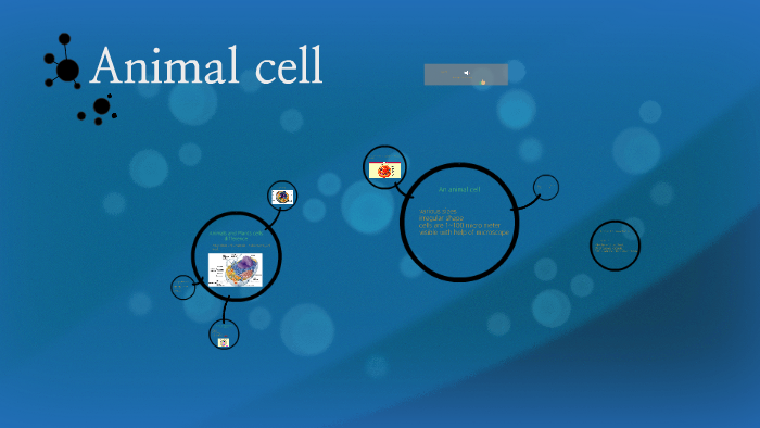 Animal cell by 서진 김 on Prezi