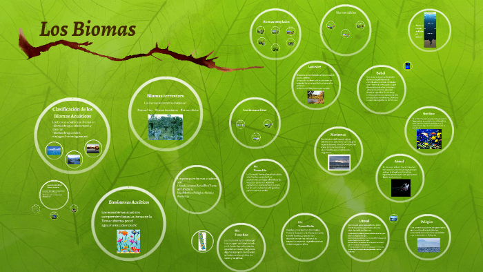 Los Biomas by Alba Arroyo on Prezi