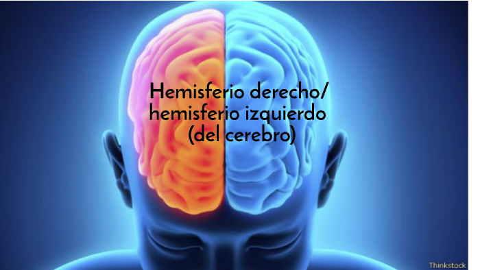 Hemisferio derecho/hemisferio izquierdo (del cerebro) by Valeria Garcia