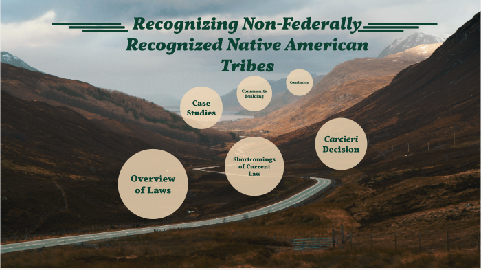 What are non-federally recognized tribes?