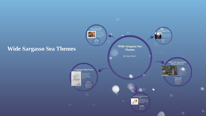 wide sargasso sea themes