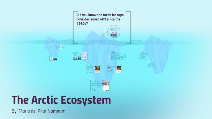 Arctic Ecosystem by Pili Namnum on Prezi