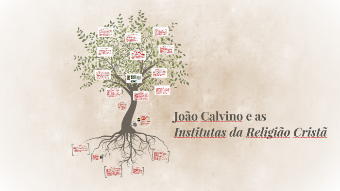 João calvino institutas 2 - tradução do latim