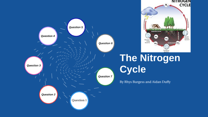 The Nitrogen Cycle by Rhys Burgess on Prezi