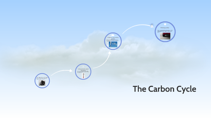 The Carbon Cycle by alyssa yerky on Prezi
