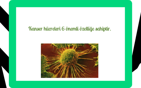 Kanser Hucrelerinin Ozellikleri By Gulcin Yavuz