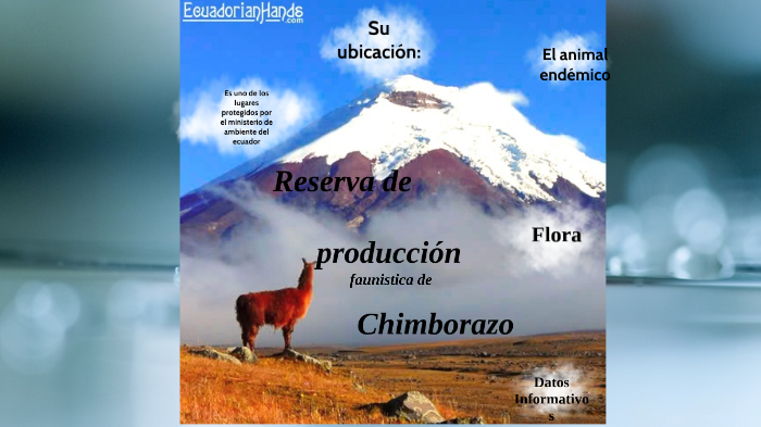 Reserva de producción de fauna de Chimborazo by Andėřsøn Wladimir TL on