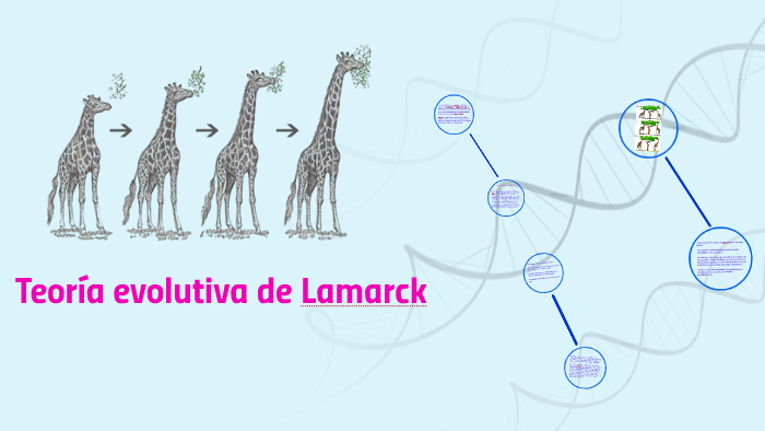 Teoría evolutiva de Lamarck by laura valentina riaño gonzalez on Prezi