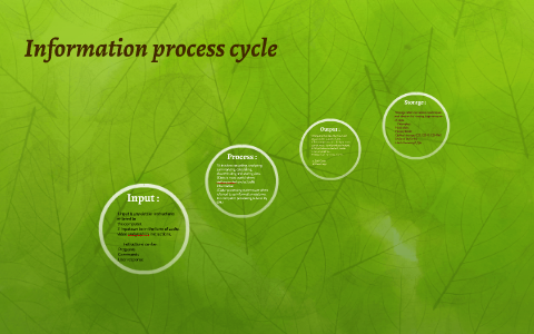 Information process cycle by shaham qazafi on Prezi