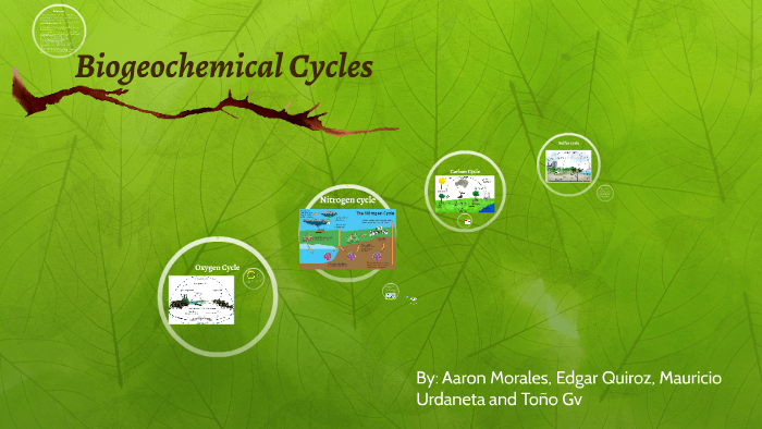Biogeochemical Cycles by on Prezi