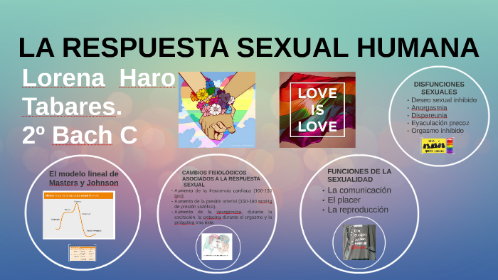 La Respuesta Sexual Humana By Lorena Haro Tabares On Prezi 7110