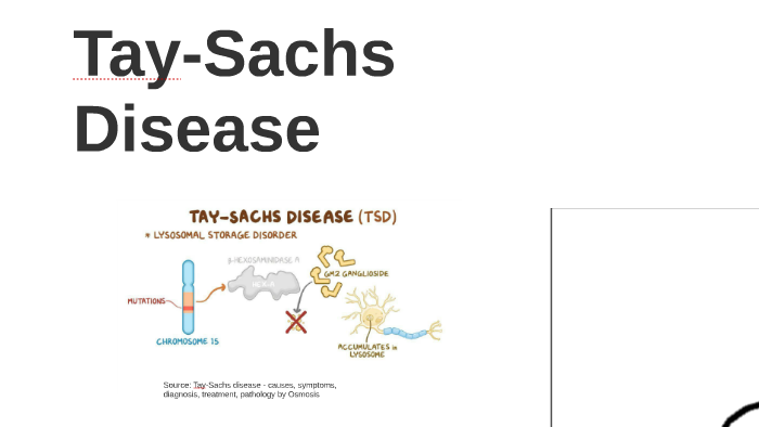 Screening for Tay‐Sachs disease carriers by full‐exon sequencing