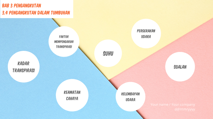 Bab 3 Pengangkutan 3 4 Pengangkutan Dalam Tumbuhan By Wardina Ruslan