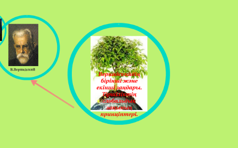 Жыныстық аналар қисық