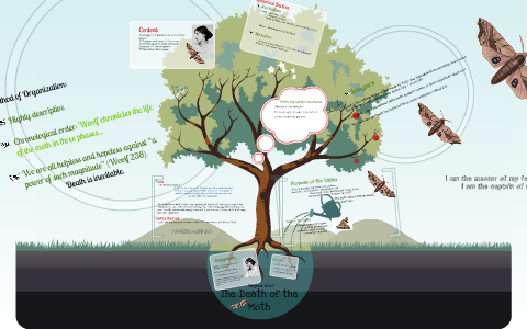 Death Of The Moth Analysis