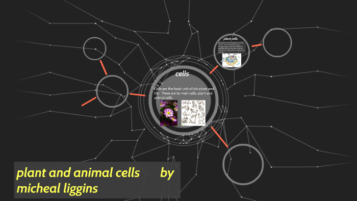 plant and animal cells by micheal liggins on Prezi