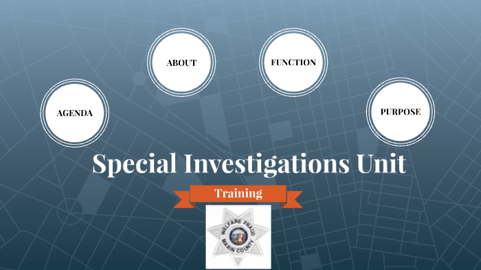 HHS Special Investigations Unit By JEssRuizzz . On Prezi