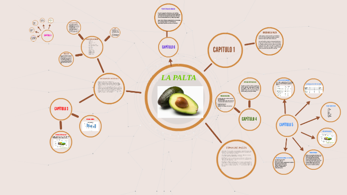 LA PALTA by Alexis Valencia on Prezi