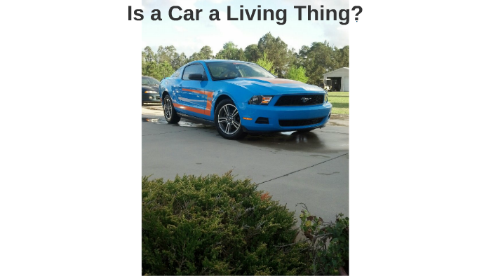 car living thing