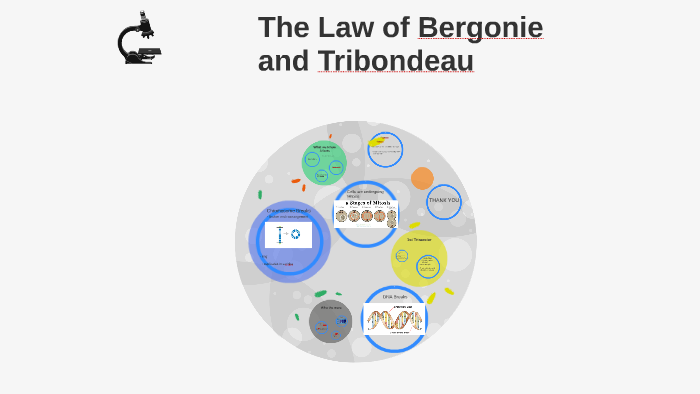 Bergonie and Tribondeau by Kalynn Striegel