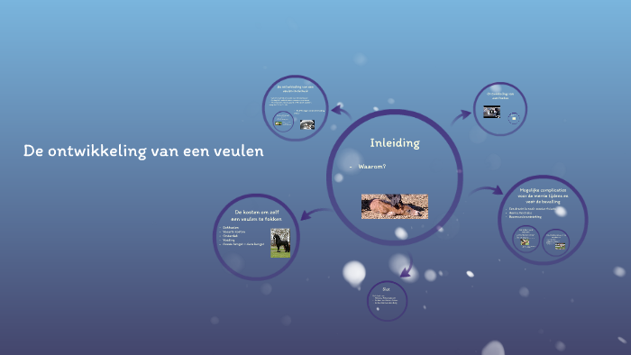 De ontwikkeling van een veulen by Kim Boomkamp on Prezi