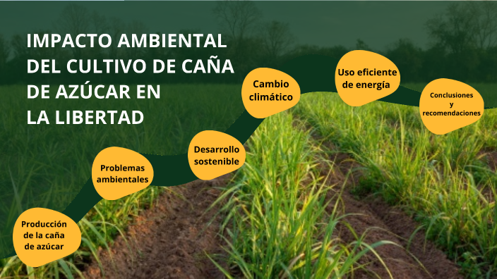 IMPACTO AMBIENTAL DE LA CAÑA DE AZUCAR by Andrea Auza Neyra on Prezi