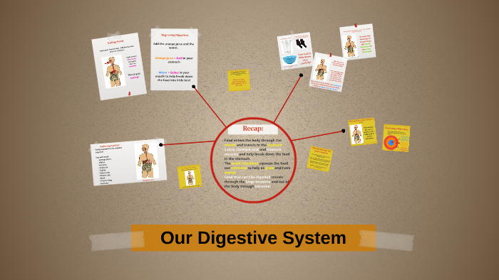 Our Digestive System by Miss Jones on Prezi