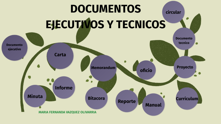 documentos ejecutivos y tecnicos by maria fernanda vazquez olivarria on