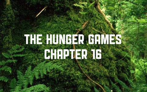 hunger games chapter 16 and 17