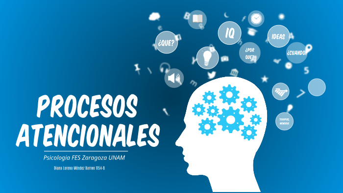 PROCESOS ATENCIONALES By Diana Mendez On Prezi