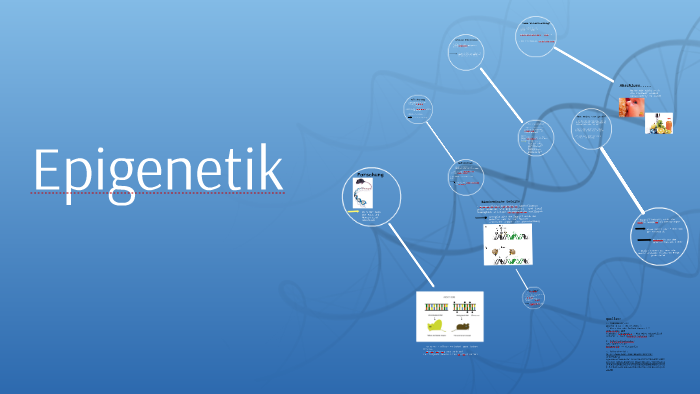 Epigenetik by Vivien Jacobs on Prezi