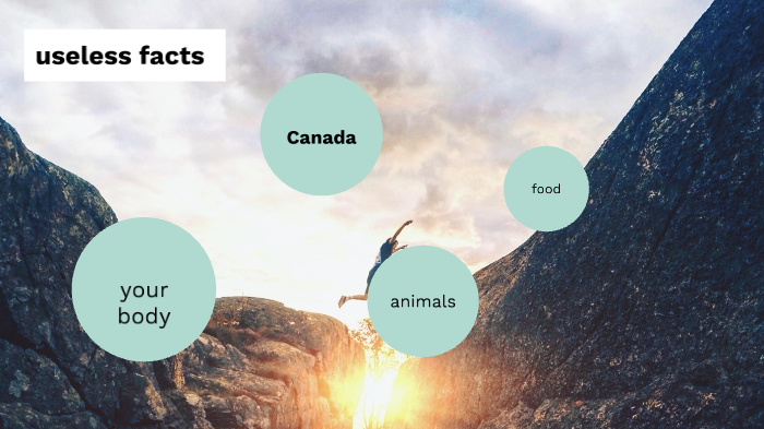 useless facts by Sarah Boudreau on Prezi