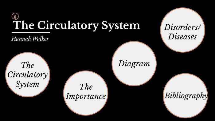 Circulatory System by Hannah Walker on Prezi
