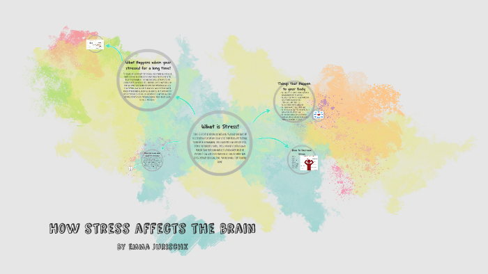 How stress affects the brain by emma j on Prezi